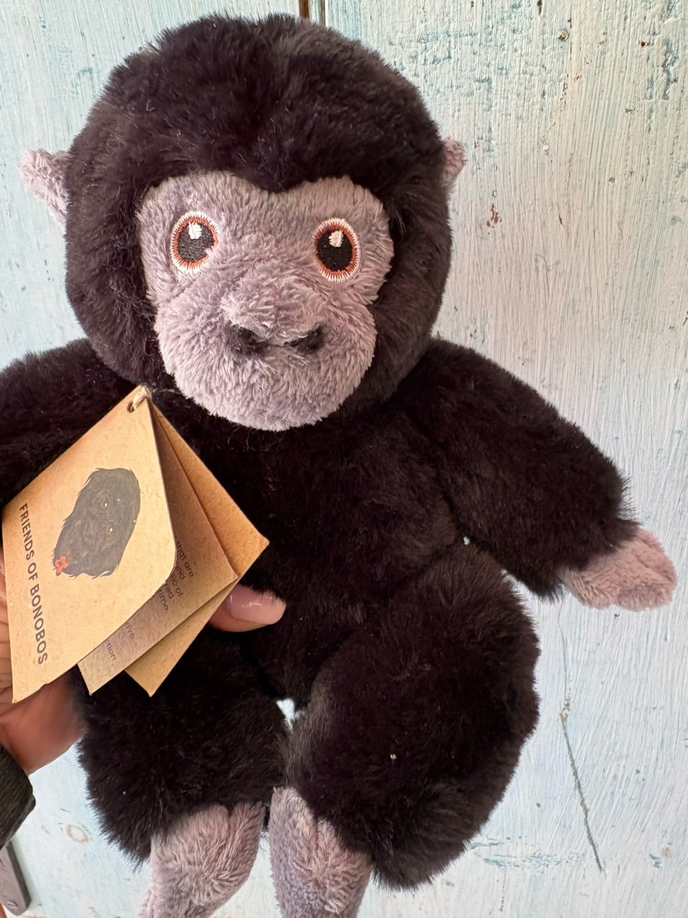 From Lola ya Bonobo Sanctuary, “Lulu & the Others” Book & Plush Bonobo Gift Set - Picture 11 of 14